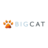 Big Cat Logo